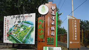 大興拓展基地-靜逸清采摘園