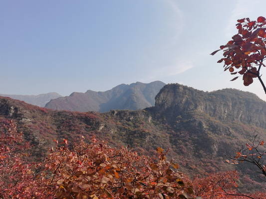 紅色景點觀后感-汲取奮進(jìn)力量