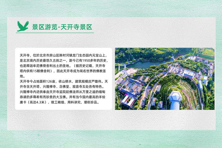 北京周邊春游團建植樹活動方案8