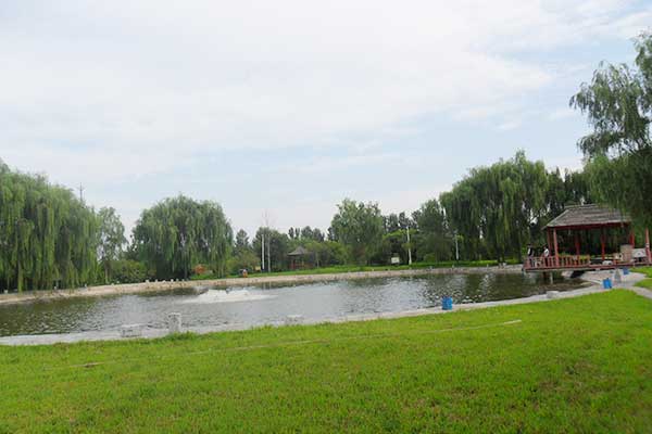 大興植樹基地-靜逸清采摘園2