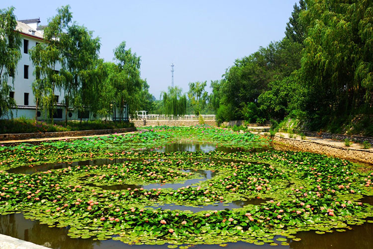 龍門生態(tài)園景區(qū)